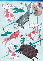 落合芳幾『見立て似（よ）たか金魚』 （夜鷹を金魚に模したもの。）