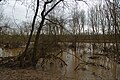 Hochwasser in der Weichholzaue am Altneckar