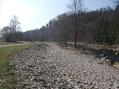 Renaturierung der Wiese bei Maulburg (5)