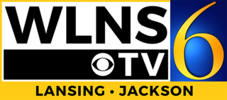 <span class="mw-page-title-main">WLNS-TV</span> CBS affiliate in Lansing, Michigan