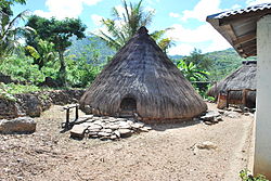 Traditional house in Abani