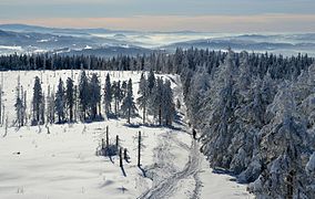 Barania Góra - view from tower