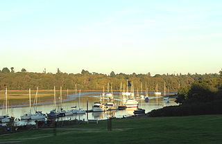 <span class="mw-page-title-main">South Hampshire Coast</span>