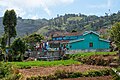 * Kandidimi Farm house and vegetable fields, Bikkatty --Tagooty 00:45, 18 September 2024 (UTC) * E miratuar  Support Good quality.--Agnes Monkelbaan 04:08, 18 September 2024 (UTC)