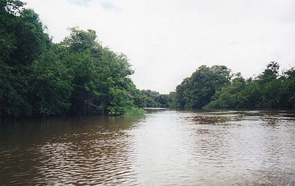 Река Гуаратико у близини Мантекала, Лос Љанос, Венецуела