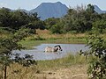 Kyle Recreational Park, province de Masvingo