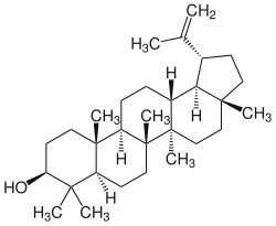Strukturformel von Lupeol