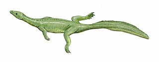 <i>Miodentosaurus</i> Extinct genus of reptiles