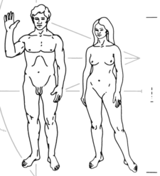 Qharipas Warmipas (Pioneer 11, Voyager I + II nisqapi rikch'a)