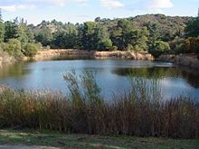 Franklin Canyon Park PondFranCanyon.jpg