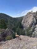 Thumbnail for File:Sangre de Cristo Mountains in New Mexico.jpg