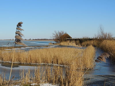 Landschap: Vogelkijkhut Ezumakeeg. Author: Baykedevries — Baykedevries