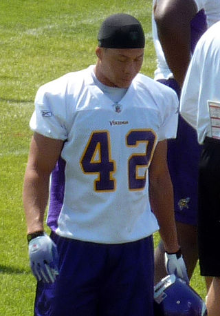 <span class="mw-page-title-main">Ian Johnson (American football)</span> American football player (born 1985)