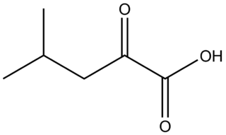 α-Ketoisocaproic acid Chemical compound