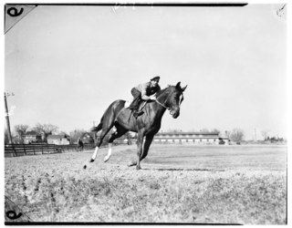 <span class="mw-page-title-main">Archworth</span> Canadian-bred Thoroughbred racehorse