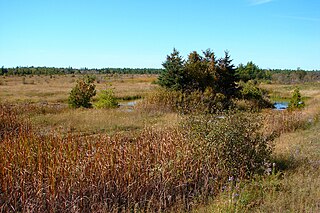 <span class="mw-page-title-main">Burnt Lands alvar</span> Alvar in Ontario, Canada