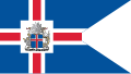 Presidential Flag of Iceland