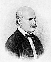 Semmelweis (Jenő Doby, 1860)