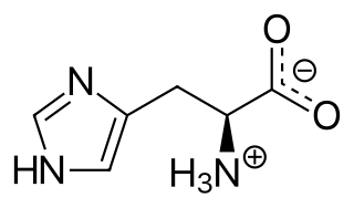 <span class="mw-page-title-main">Aromatic amino acid</span> Amino acid having an aromatic ring