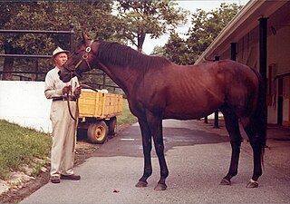 <span class="mw-page-title-main">Mr. Prospector</span> American-bred Thoroughbred racehorse