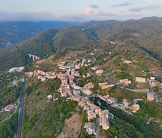 <span class="mw-page-title-main">Pedivigliano</span> Comune in Calabria, Italy