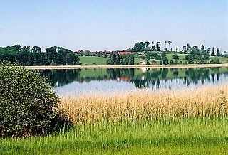 <span class="mw-page-title-main">Pfäffikersee</span>