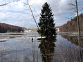 Rückhaltebecken Lauenstein 29.03.06,14.28 Uhr