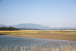 Sitka Sedge State Natural Area Natural area in Tillamook County, Oregon, United States