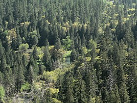 Tenaya Creek Canyon