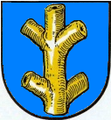 Stadt Schnaittenbach In Blau ein aufrechter und gestümmelter goldener Baumstamm.