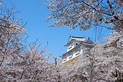 Castelo Tsuyama, parque