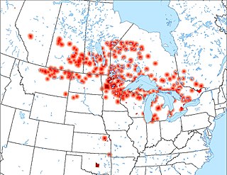 <span class="mw-page-title-main">Ojibwe language</span> Central Algonquian language of North America