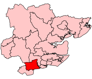 <span class="mw-page-title-main">Basildon (UK Parliament constituency)</span> Parliamentary constituency in the United Kingdom, 1974–2010