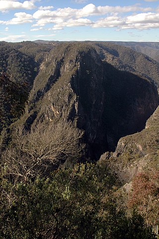 <span class="mw-page-title-main">Bungonia National Park</span> Protected area in New South Wales, Australia