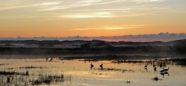 Panorama: De Nederlanden. Author: Alex76 — Alex76