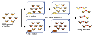 <span class="mw-page-title-main">Laboratory experiments of speciation</span> Biological experiments