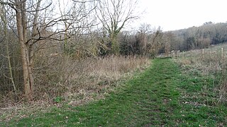 <span class="mw-page-title-main">Foxley Wood, Purley</span>