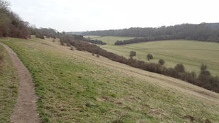 <span class="mw-page-title-main">Happy Valley Park</span> Public park in London, England