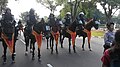 Mounted Police