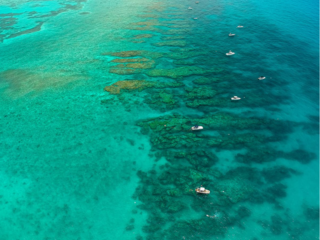 <span class="mw-page-title-main">Looe Key National Marine Sanctuary</span> Former aquatic protected area in the Florida Keys