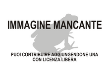 Immagine di Mannophryne neblina mancante