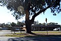 English: Community centre at Murchison, Victoria