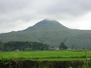 MusuanPeak1.jpg