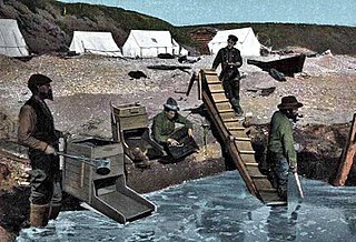 Nome Gold Rush A gold rush in Nome, Alaska, approximately 1899–1909