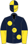 Dark blue, large yellow spots, halved sleeves, yellow and dark blue quartered cap
