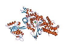 PDB 1obc EBI.jpg