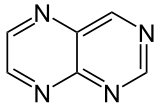 Pteridin - Pteridine.svg