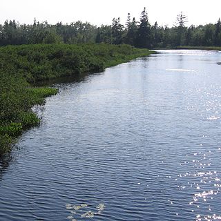 <span class="mw-page-title-main">Sackville River</span> River in Nova Scotia, Canada