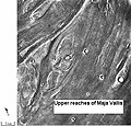 Streamlined islands in Lunae Palus quadrangle