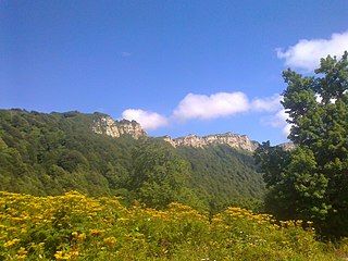 <span class="mw-page-title-main">Racha Range</span> Mountain range in the southwestern Caucasus Mountains, Georgia